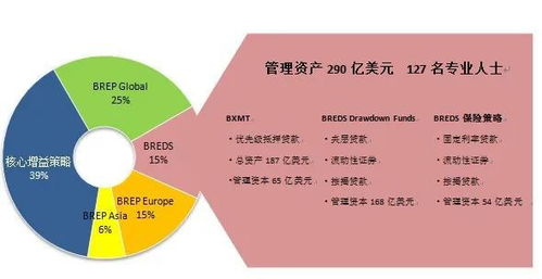 黑石投资与运营策略的迭代升级 从机会性投资到主题投资